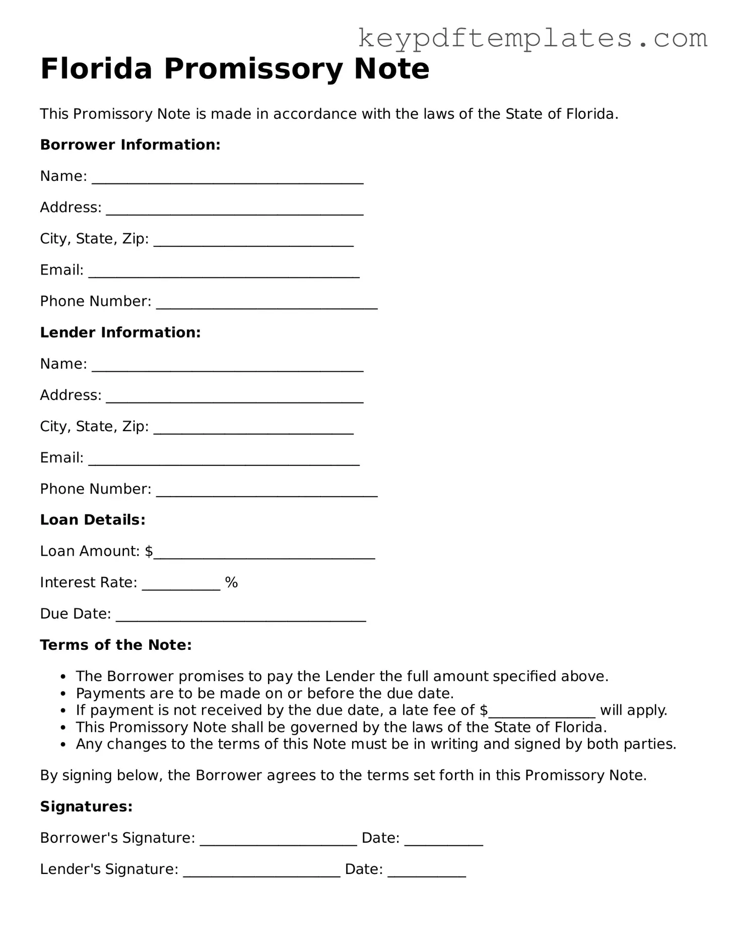 Legal Promissory Note Document for the State of Florida