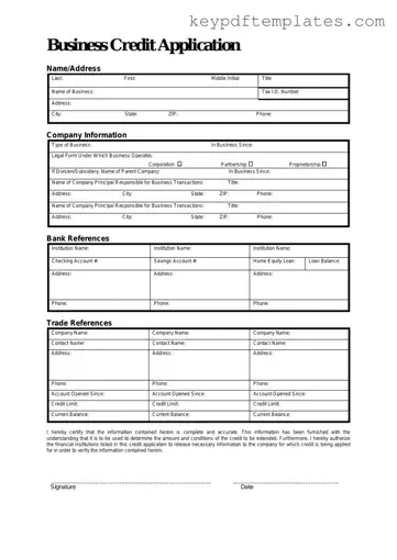 Get Business Credit Application Form
