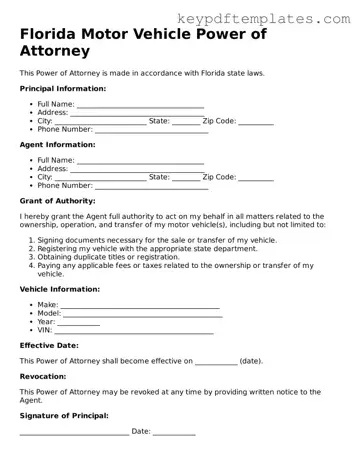 Legal Motor Vehicle Power of Attorney Document for the State of Florida