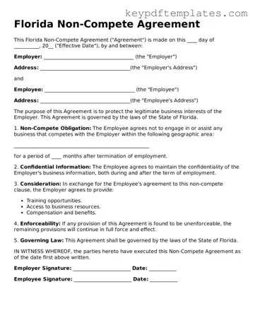 Legal Non-compete Agreement Document for the State of Florida