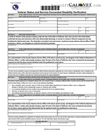 Get Vsd 001 Form